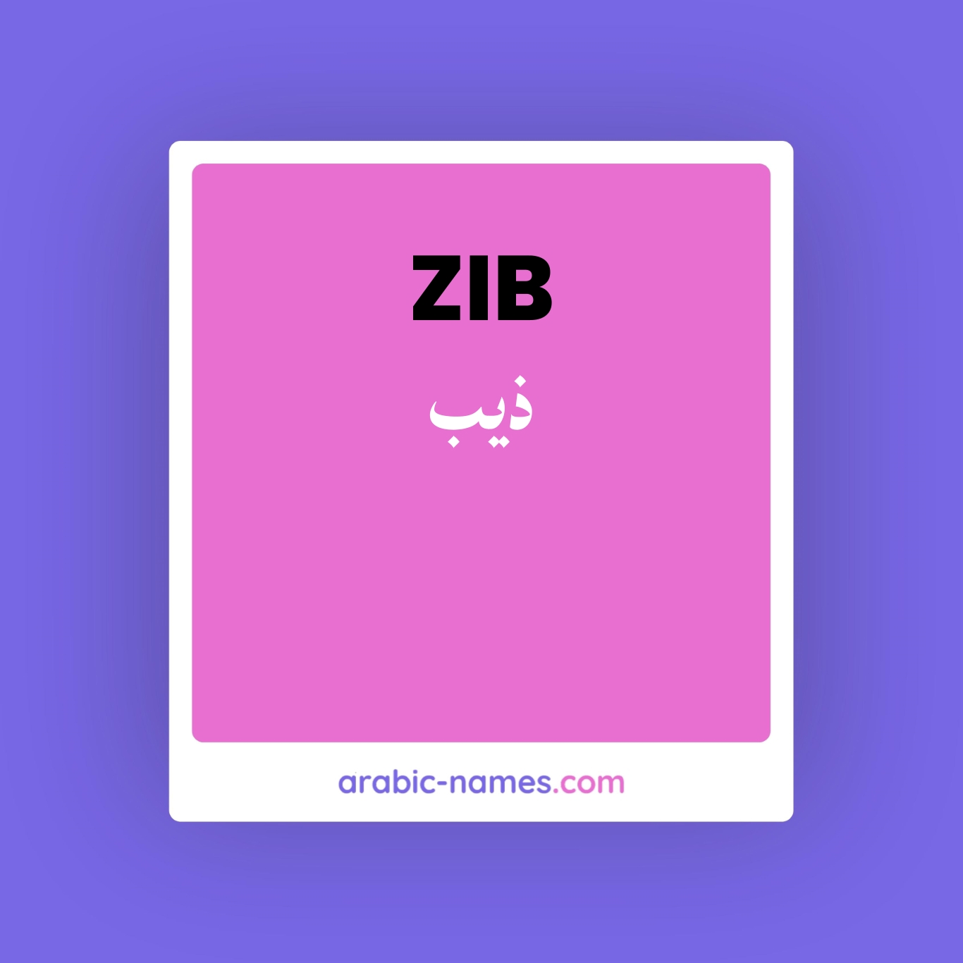 zib-meaning-in-arabic-english-arabic-names